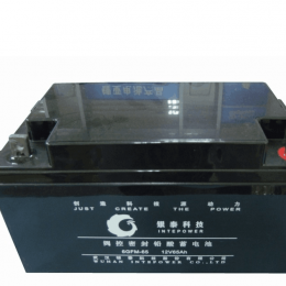 银泰蓄电池6GFM-80